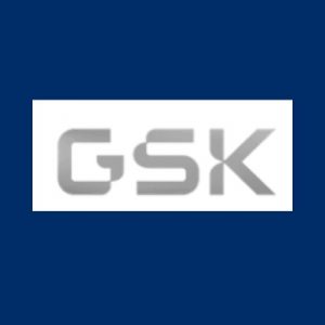 LighthouseMinds Kundenlogo 7